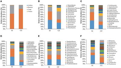 Metagenomic analysis of gut microbiota and antibiotic-resistant genes in Anser erythropus wintering at Shengjin and Caizi Lakes in China